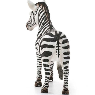 Zebra Female