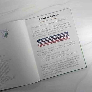 Harper Collins Children's Books Begginner's Bible Let's Learn to Pray