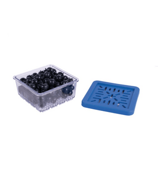 Berry Prokeeper clear container with blueberries and blue vented lid by Harold Imports