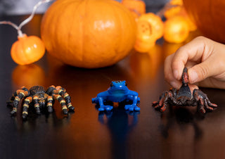Schleich Blue Poison Dart Frog figurine displayed with spider and scorpion toys near Halloween pumpkins