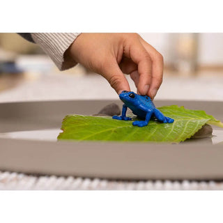 Child's hand placing a Schleich blue poison dart frog figurine onto a green leaf