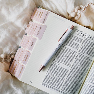 The Daily Grace Co Stationary Blush Bible Tabs