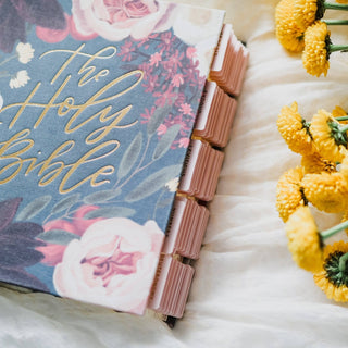 The Daily Grace Co Stationary Blush Bible Tabs