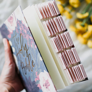 The Daily Grace Co Stationary Blush Bible Tabs