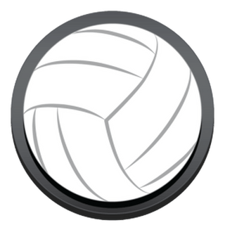 Bogg Bag Bags Volleyball Bogg Bit