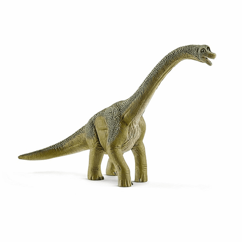 Brachiosaurus