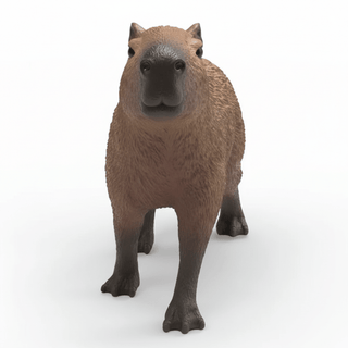 Capybara Front View