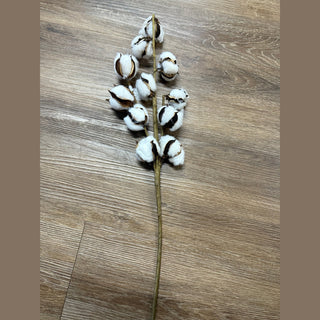 Regency Home Decor Cotton Stem Pick