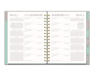 Interior spread of Studio Oh Countdown To Baby pregnancy planner showing Week 3 and Week 4 pages with daily planning sections