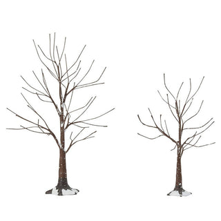 Two frosted bare branch winter trees with snow speckles for Christmas decor