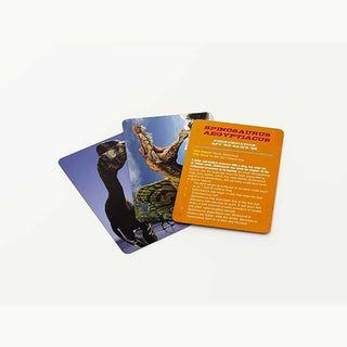 Harper Collins Children’s Books Dinosaur Flashcards