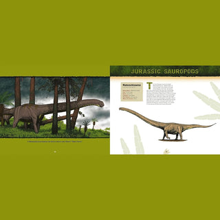 Harper Collins Children’s Books Discovering Dinosaurs