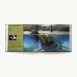 Harper Collins Children’s Books Discovering Sharks