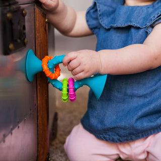 Fat Brain Toys pipSquigz