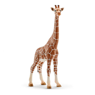 Picture of female giraffe toy