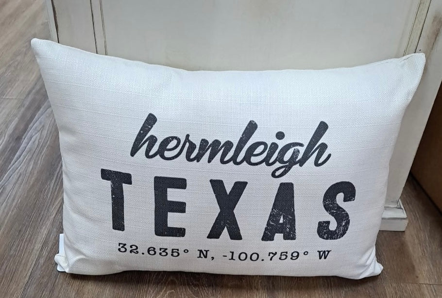 Retro Coordinates Pillow