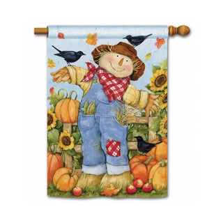 Garden Scarecrow Standard Flag