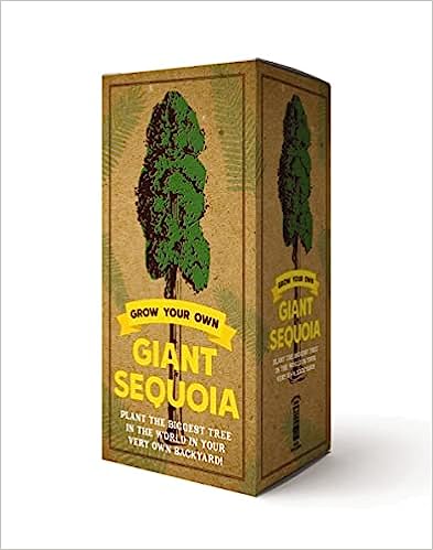Grow Ur Own Giant Sequoia