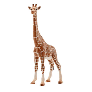 Angled Giraffe toy