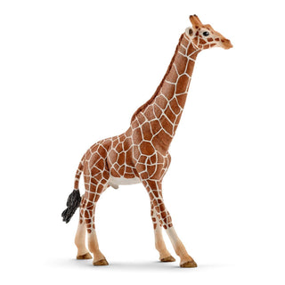 Schleich male giraffe figurine with detailed reticulated brown and white pattern, standing pose