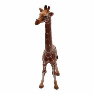 Giraffe Female