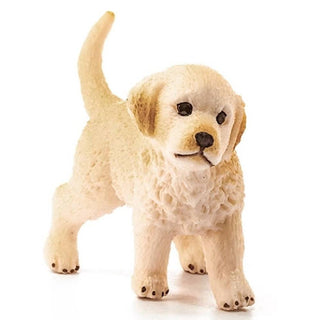 Golden Retriever Puppy 