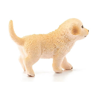 Angled Side Of Golden Retriever 