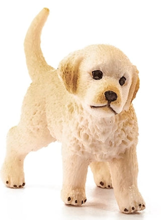 Golden Retriever Puppy 