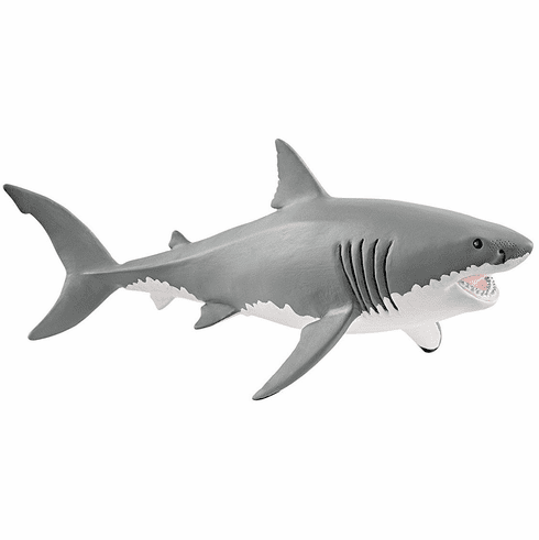 Great White Shark