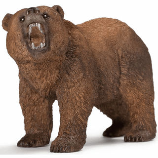Grizzly Bear