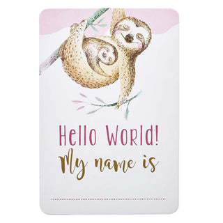 Baby book with sloths and 'Hello World! My name is' text 