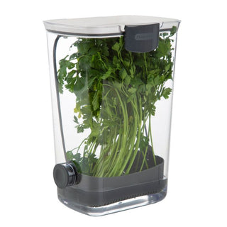 Progressive PrepWorks Herb ProKeeper