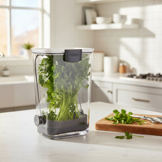 Clear herb container with fresh green herbs inside 