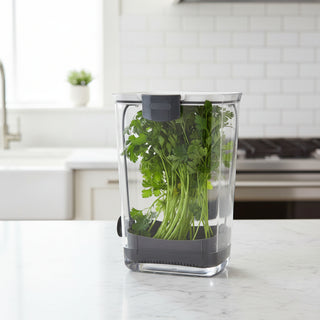 Clear herb container with fresh green herbs