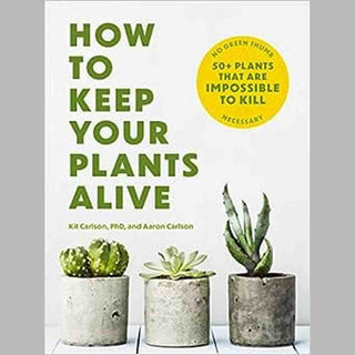 How To Keep Your Plants Alive