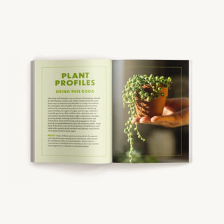 How To Keep Your Plants Alive