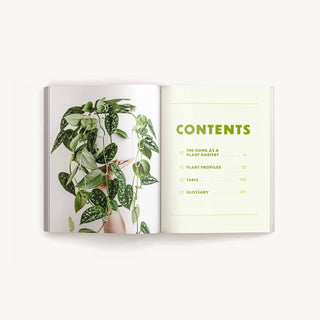 How To Keep Your Plants Alive