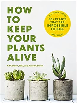 How To Keep Your Plants Alive