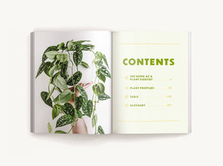 How To Keep Your Plants Alive
