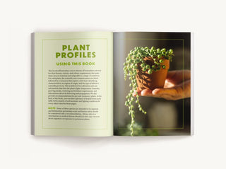 How To Keep Your Plants Alive