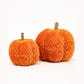 The Royal Standard Fall Decor Hutchinson Pumpkin