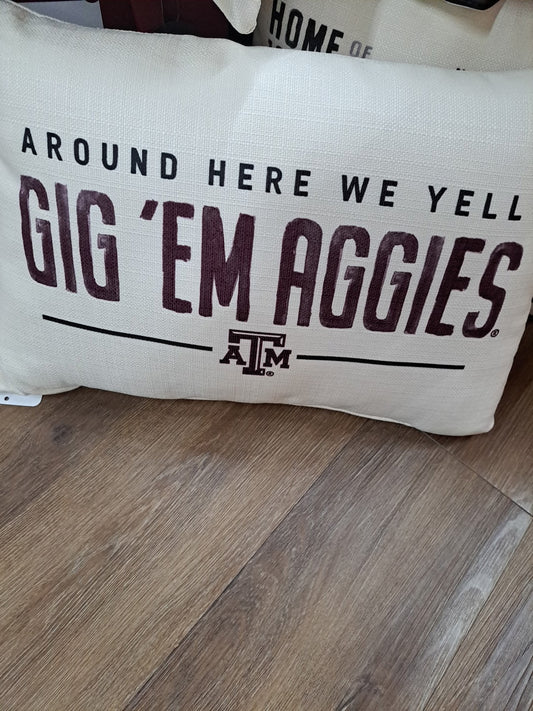 Around here Pillow