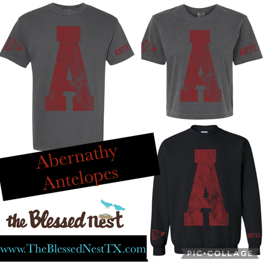 Abernathy Antelopes Varsity Spirit Top