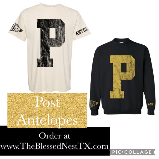 Post Antelopes Varsity Spirit Top