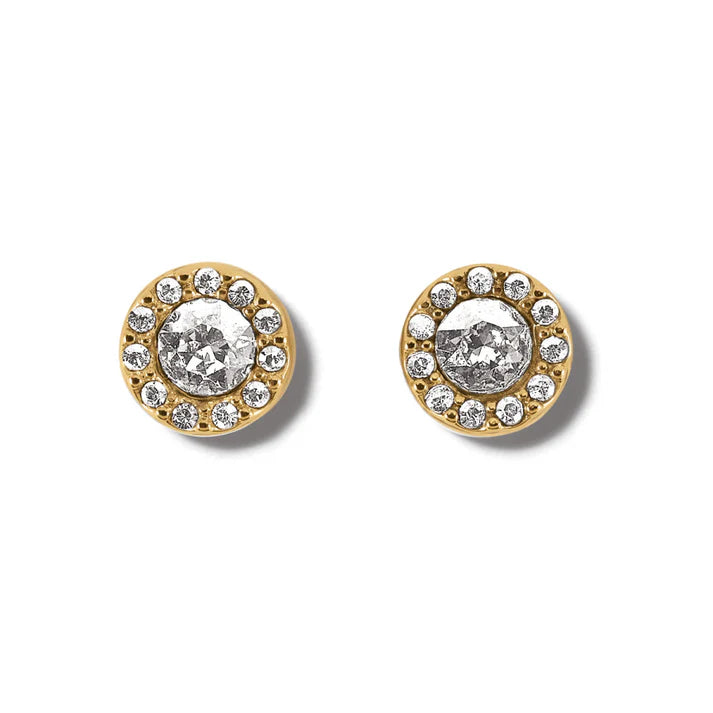 Illumina Solitaire Gold Post Earrings