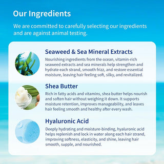 Inis Sea Mineral Shampoo ingredients infographic showing seaweed, shea butter, and hyaluronic acid