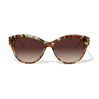 Brighton Plastic Eyewear Interlok Braid Blue Havana Sunglasses