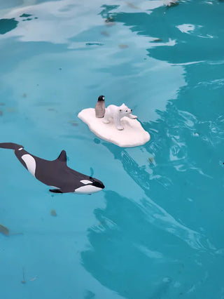 Killer Whale