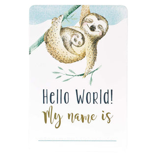 card with two sloths and 'Hello World! My name is' text on a light blue background