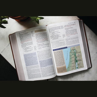 Harper Collins Adult Books NIV Application Bible